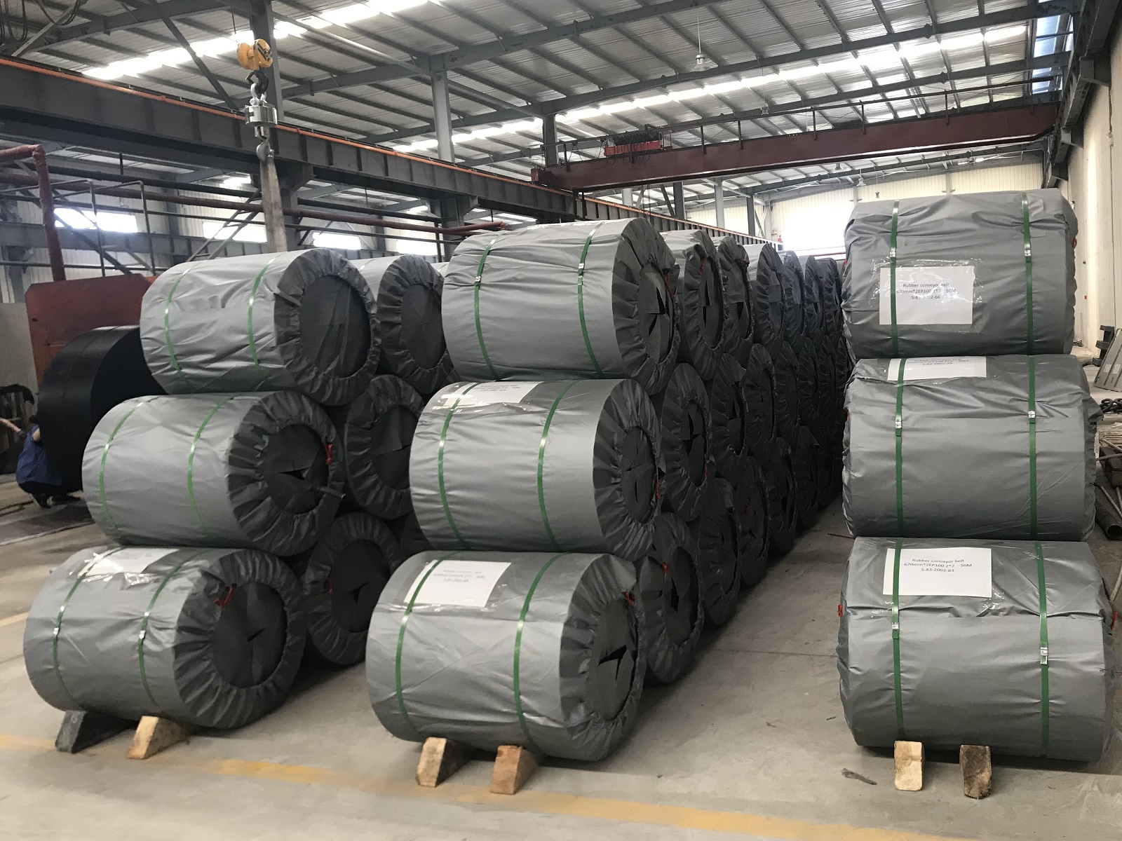 好色先生成人版免费下载儲存