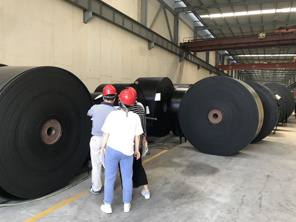 好色先生成人版免费下载設計安裝