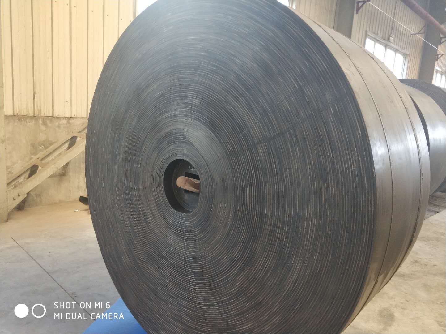 好色先生TV下载网站選擇方式