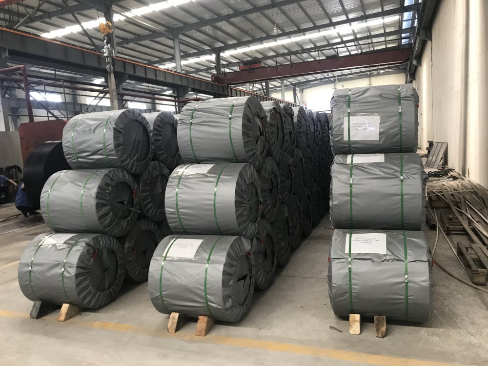 好色先生成人版免费下载廠家